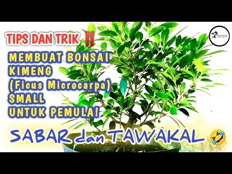 ผลสลากกินแบ่งรัฐบาล วันที่ 1 พย. 2567