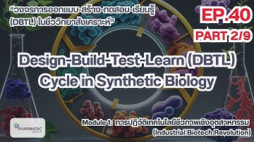 EP.40 I Part 2 I Design-Build-Test-Learn (DBTL) Cycle in Synthetic Biology