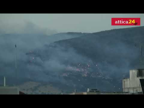 Πυρκαγιά σε εξέλιξη στο Σοφό Ασπροπύργου