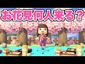 【あつ森】お花見を開催したら何人参加してくれるの？【あつまれどうぶつの森】