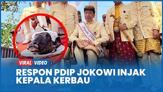 PDIP Respons Keras Jokowi Injak Kepala Kerbau Saat Prosesi Adat Lampung
