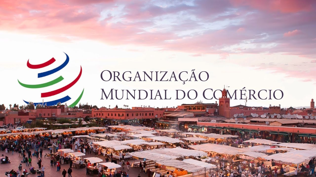 Minuto Europeu nº 145 - Organização Mundial do Comércio - YouTube