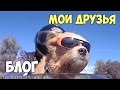 БЛОГ: МОИ ДРУЗЬЯ,  собаки, байкер, катаюсь на мотоцикле:)