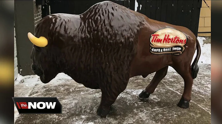 Buffalo Pop artist shares his happiness with his a...