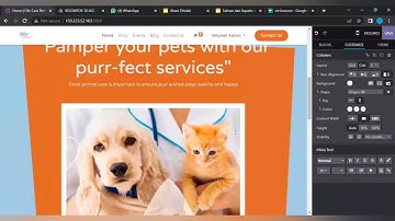 Odoo 16 - Simulasi E-Commerce & website [SIB X PT.Ctech ERP Indonesia]