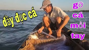 Đại Ca Hồng Ra Tay Thả Lưới Cá Mè Vinh Gỡ Cá Mỏi Tay Kiếm Tiền Ăn Tết # SĂN BẮT ĐỒNG THÁP #