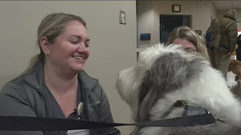 Dog therapy program aims to help healthcare workers with stress of job