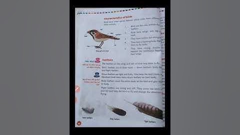 EVS-CLASS-III, Lesson-9. Birds (part-1)