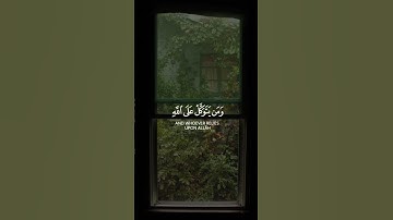 {ومن يتق الله يجعل له مخرجا ...} تلاوة خاشعة للقارئ الشيخ رعد الكردي 💐
