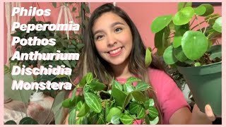 Trending Plants Where Are They Now?