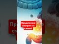 #кишечник #пользаивред #shorts