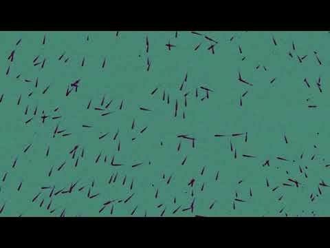 Putar Incantation IX - Sufjan Stevens
