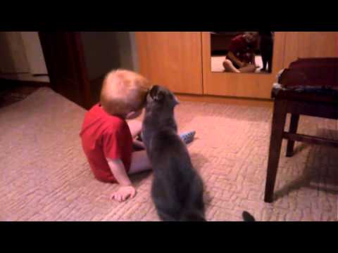 Cat and Boy are the Faithful Friends