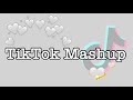 TikTok Mashup 2021 (not clean)