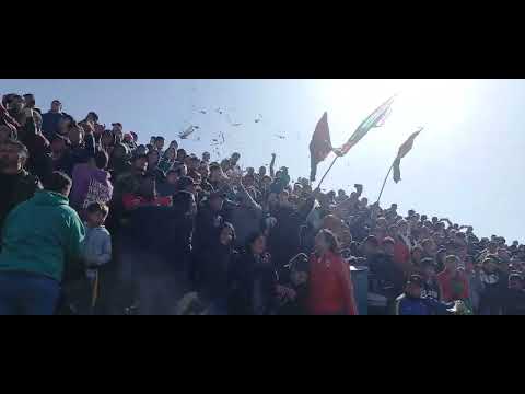 Ver video de Dale campeon
