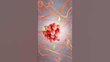 3D Product Animation Showreel CINEMA 4D REDSHIFT  #productanimation #productvisualization #cinema4d