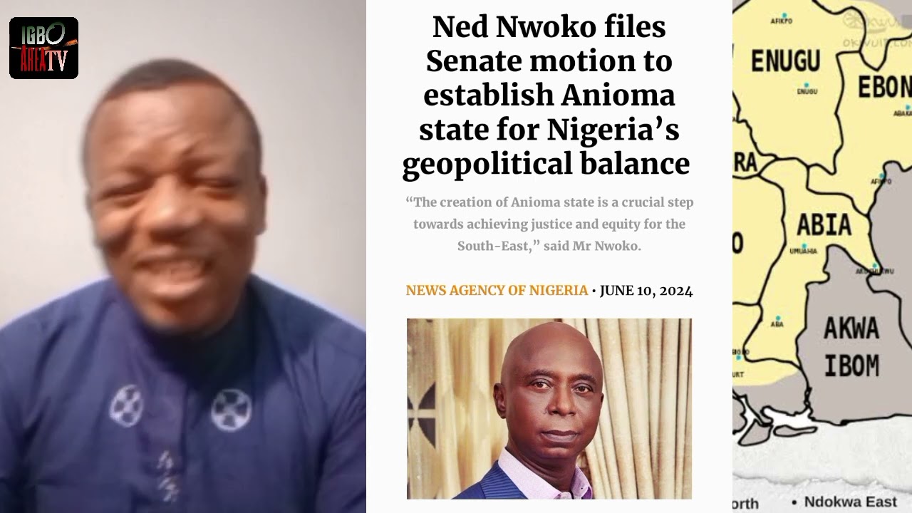 Motion for Anioma State moved, Elumelu speaks on his Igboness