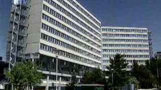 Reakcije Na Defile Cetnika U Srebrenici