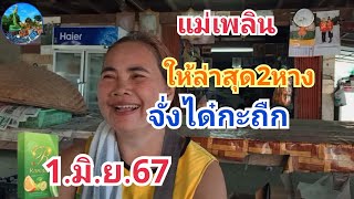 แม่เพลิน#ให้มาล่าสุด2หางจั๋งได๋กะถืก#1.มิ.ย.67