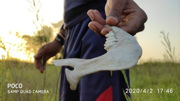 4k Video test by poco X2 || poco phone 4k