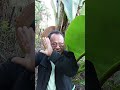 Momento destacado de transmisión en vivo