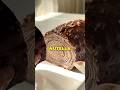 Woman Survives NUTELLA Factory Explosion?! 🤯🍫