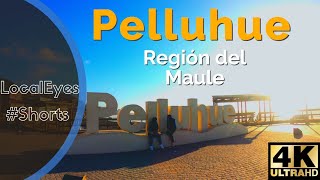 Adelanto de Pelluhue - Región del Maule - Chile 2021 #Shorts