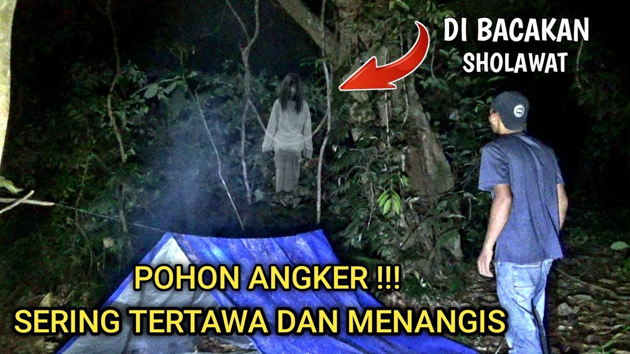 CAMPING HOROR‼️pohon angker yang sering tertawa dan menangis di bacakan sholawat