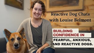 #25: Reactive Dog Chats: Building confidence in fearful, anxious, and reactive dogs