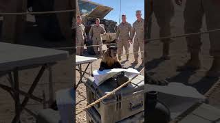 Monkey Turned Army Training Into Comedy | Convoy Map