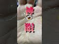 【予言する手相】 最強の鑑定スキル「ファティマの目」#占い #手相 #フははァティマの目 #島田秀平 #ゲッターズ飯田