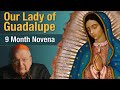 Cardinal burke novena to our lady of guadalupe  9 month novena prayer