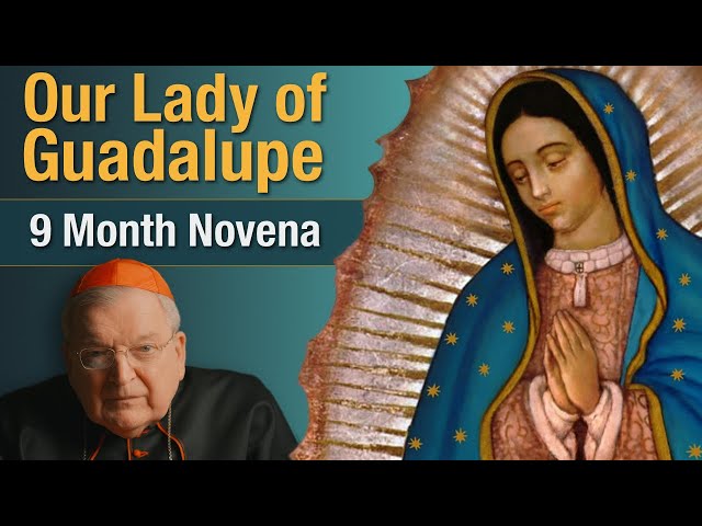 Cardinal Burke Novena To Our Lady of Guadalupe | 9 Month Novena Prayer class=