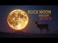 рџЊ Secrets Of The July 2025 Full Moon Revealed рџЊ Secrets Of The July 2025 Full Moon Revealed