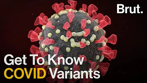Simple Questions About COVID Variants