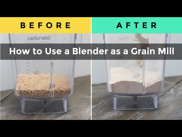 2 Ways to Make Flour at Home  Blender vs Grain Mill 