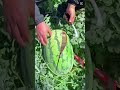 حرام عليكم تطقوني خرااام لايك اكسبلور كيدز Explore تصويراطفال Cutebaby المحتوى الرائج Cute حرام عليكم تطقوني خرااام لايك اكسبلور كيدز Explore تصويراطفال Cutebaby المحتوى الرائج Cute