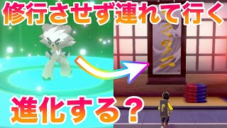 ポケモン 剣 盾 ダクマ 進化 ポケモン剣盾 ダクマの入手 厳選方法とおすすめの性格 ソードシールド