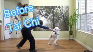 Benefits of Tai Chi: Before & After Tai Chi