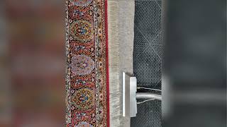 Best Carpet Cleaning Near Me in Chicago, Park Ridge &amp; Glenview | Rugs &amp; Upholstery Cleaning