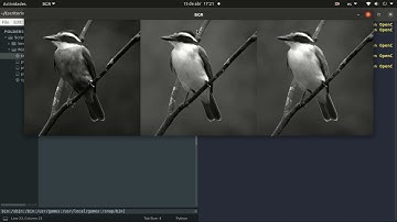 BGR/RGB con OpenCV y Python