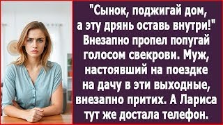 картинка:  Дом, в котором попугай говорил голосом мёртвой свекрови, и ночь превратилась в ад