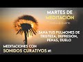 Meditaciones con SONIDOS CURATIVOS # 1 - Sana tus PULMONES