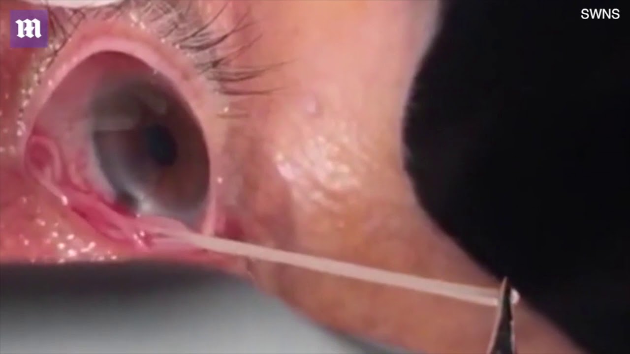 Negão gozando dentro da xoxota Filme sexo completo frances