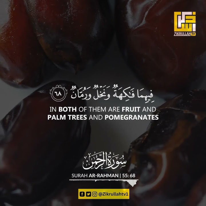 Best Quran Recitation | Surah Ar-Rahman [66-69] | Zikrullah TV  #rahman_shorts #quranshorts #shorts