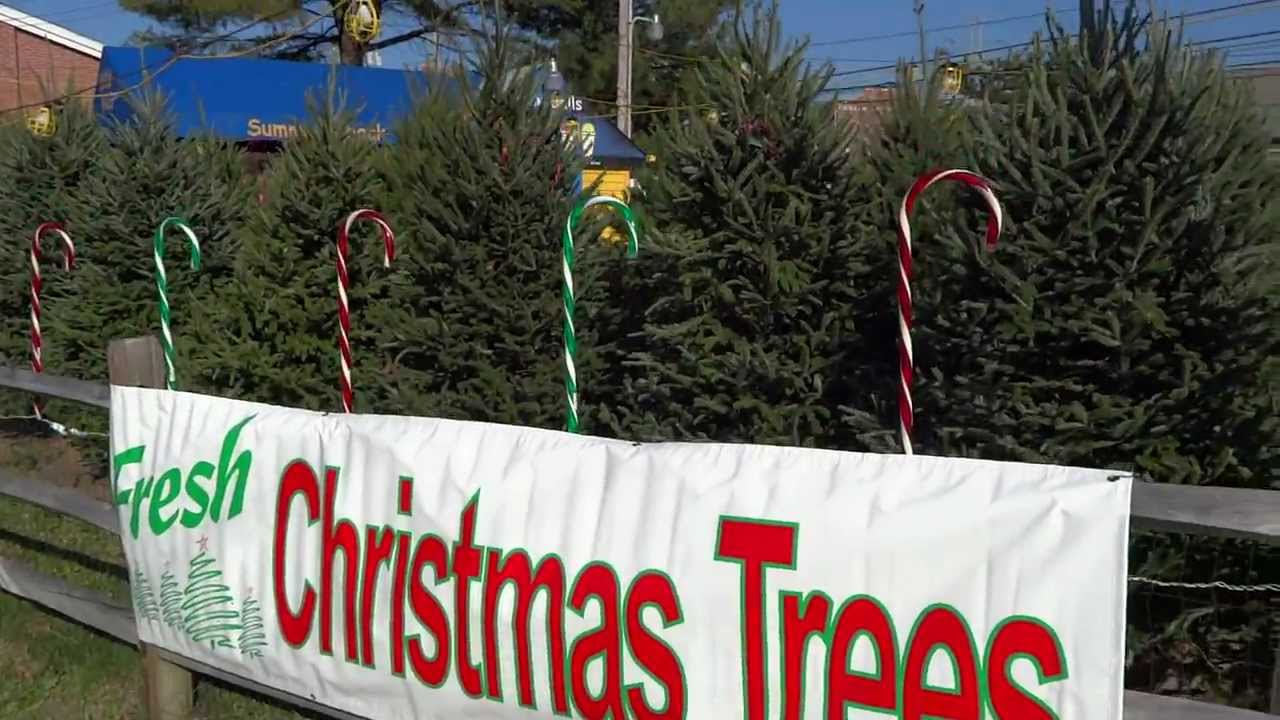 Baltimore Christmas Trees at Valley Exxon YouTube