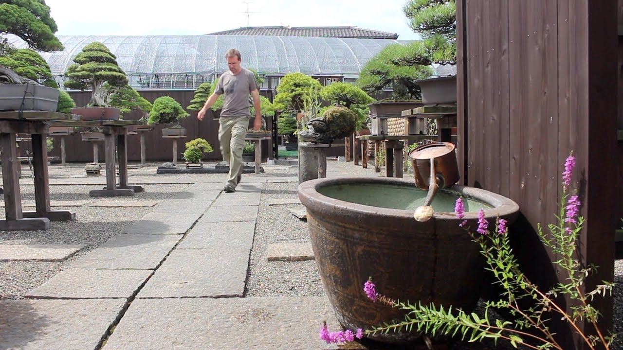 Bonsai water - pH and hardness