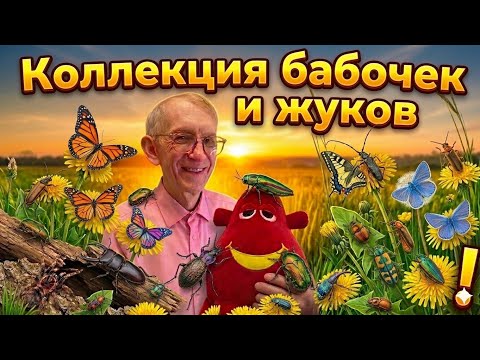 Откуда берутся Жучки и моли в доме и на кухне? Энтомолог рассказывает.