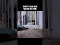 #shorts 강아지가 집에 혼자 있을 때 하는 행동 #강아지 #믹스견