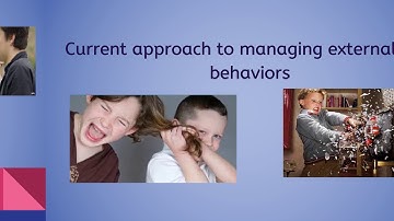 Externalizing Behaviors in Youth